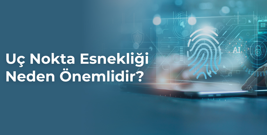 Uç Nokta Esnekliği Neden Önemlidir?